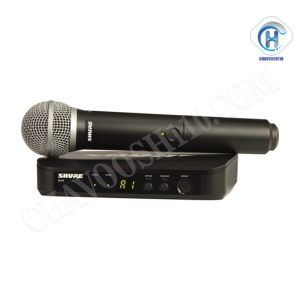 میکروفون دستی بی سیم SHURE BLX24 | PG58